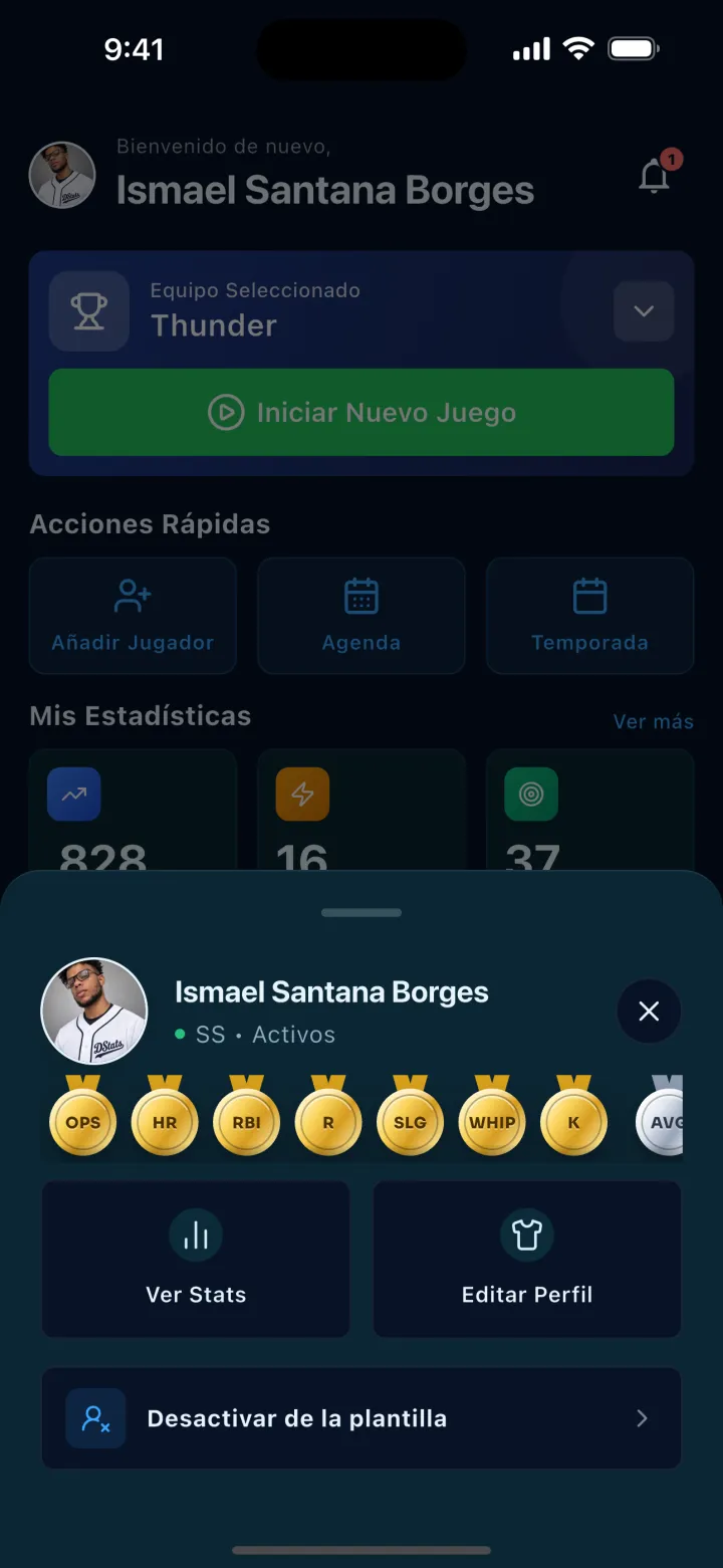 Pantalla de DStats: Accesos y resumen del jugador
